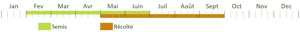 Calendrier de culture